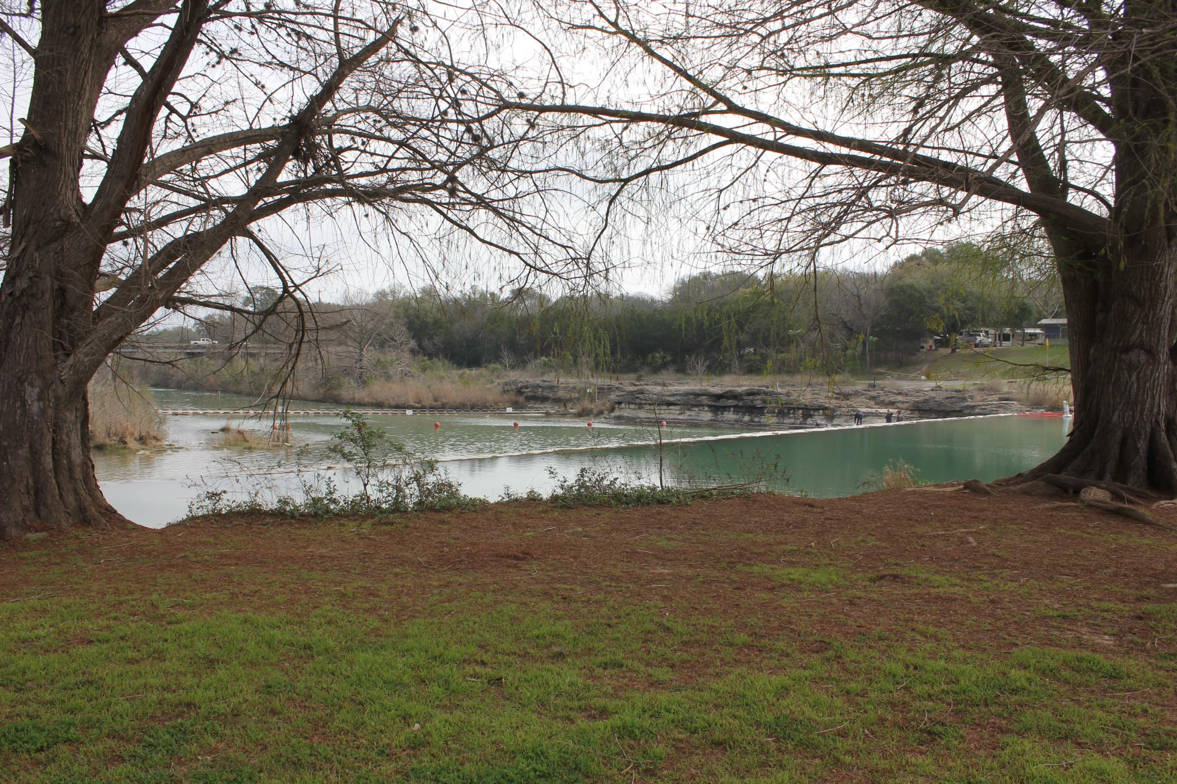 The Blanco River in Blanco State Park framed by a big live oak, the bluff on the far bank